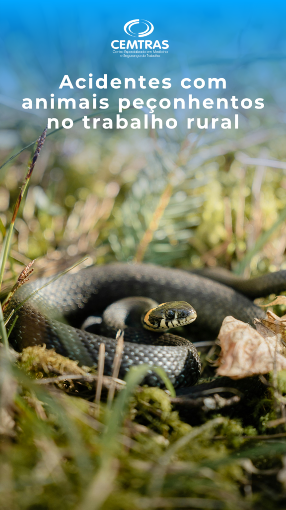 Acidentes com animais peçonhentos no trabalho rural No Brasil, acidentes com serpentes representam a maior parte dos casos.